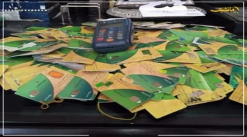 بشرى للمواطنين.. إليك خطوات إضافة المواليد لبطاقة التموين 2025 الشروط والمستندات المطلوبة 1